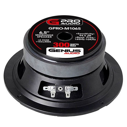 ALTAVOZ DE MEDIO RANGO 6.5
