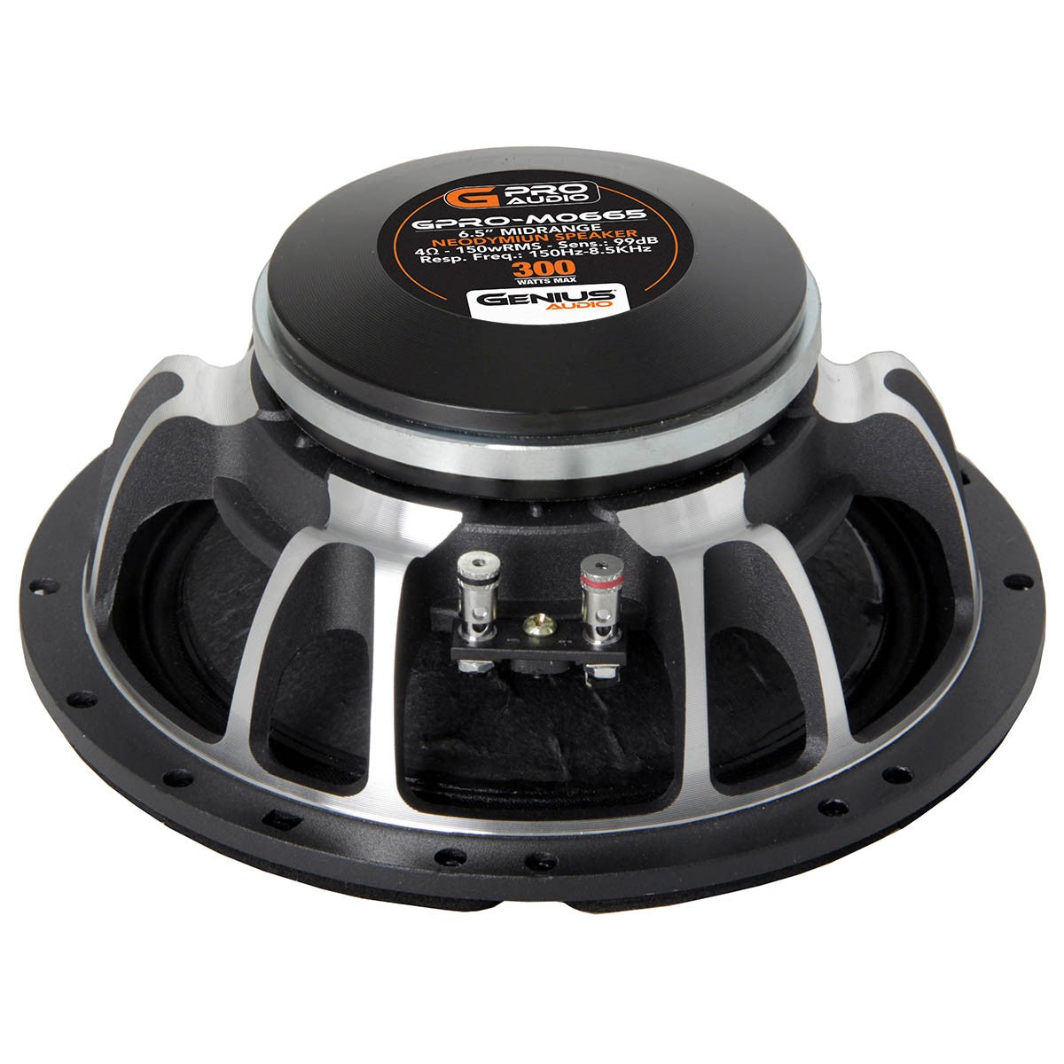 ALTAVOZ DE MEDIO RANGO 6.5