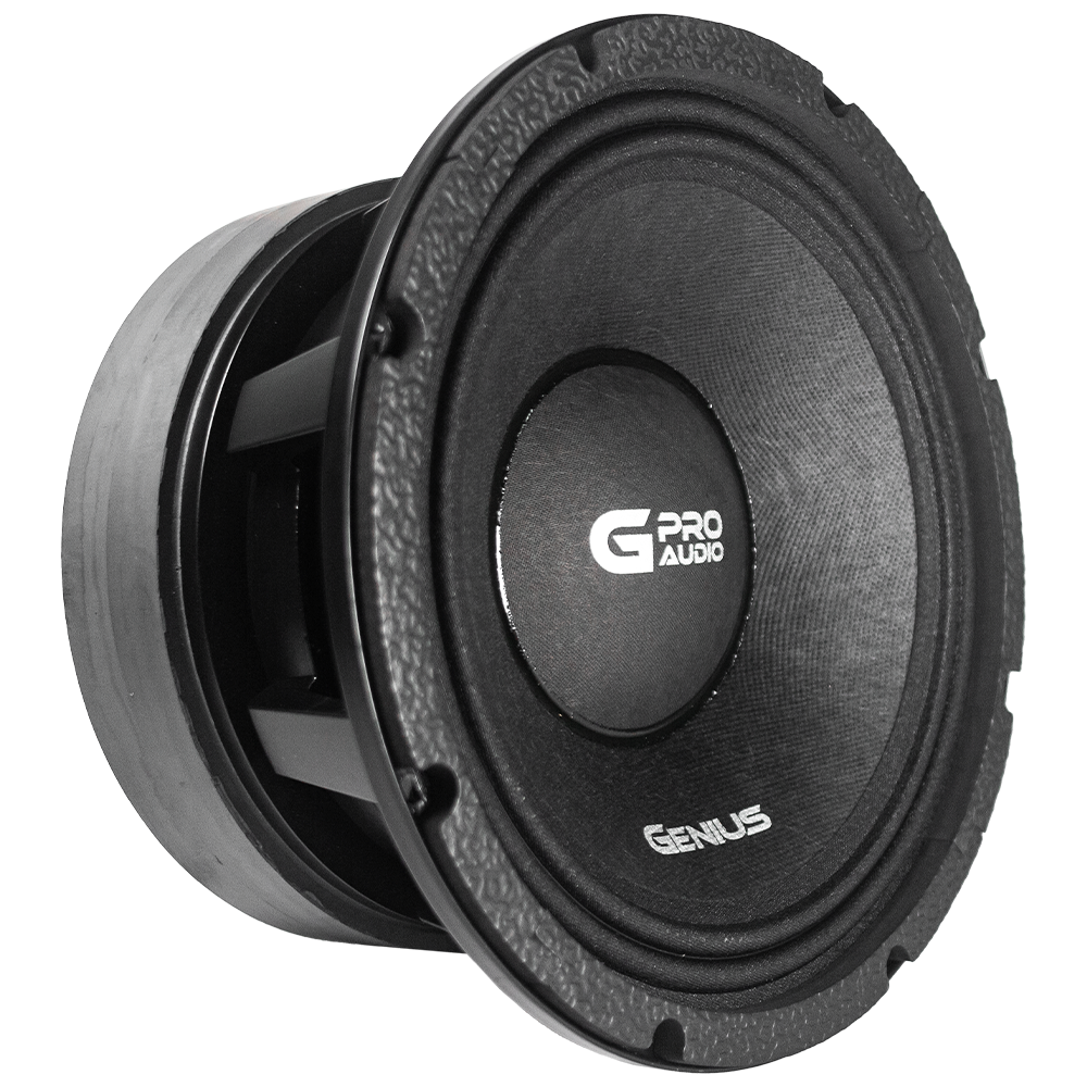 MEDIO BAJO 10" SERIE XTREME DE ALTO PODER 1000WRMS / 2000WMAX DUAL 2 Ohm 95.5 dB