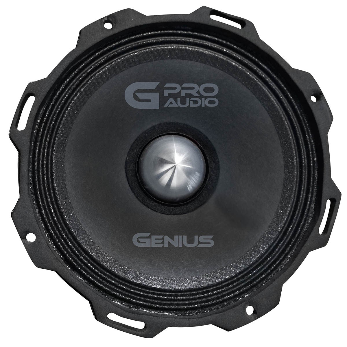 ALTAVOZ DE MEDIO RANGO 6.5