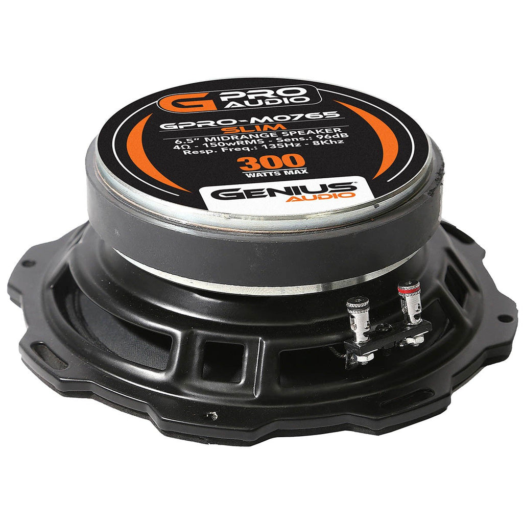 ALTAVOZ DE MEDIO RANGO 6.5