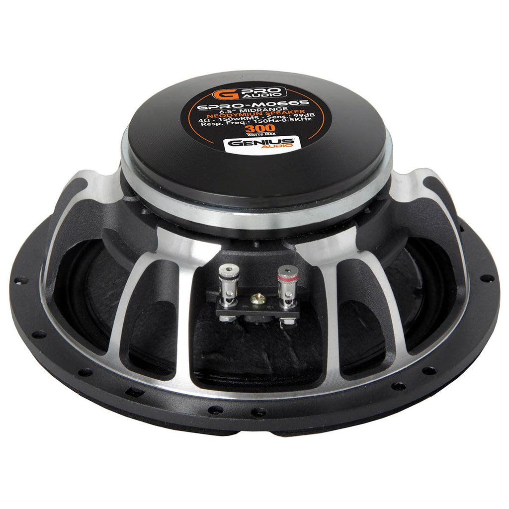 ALTAVOZ DE MEDIO RANGO 6.5