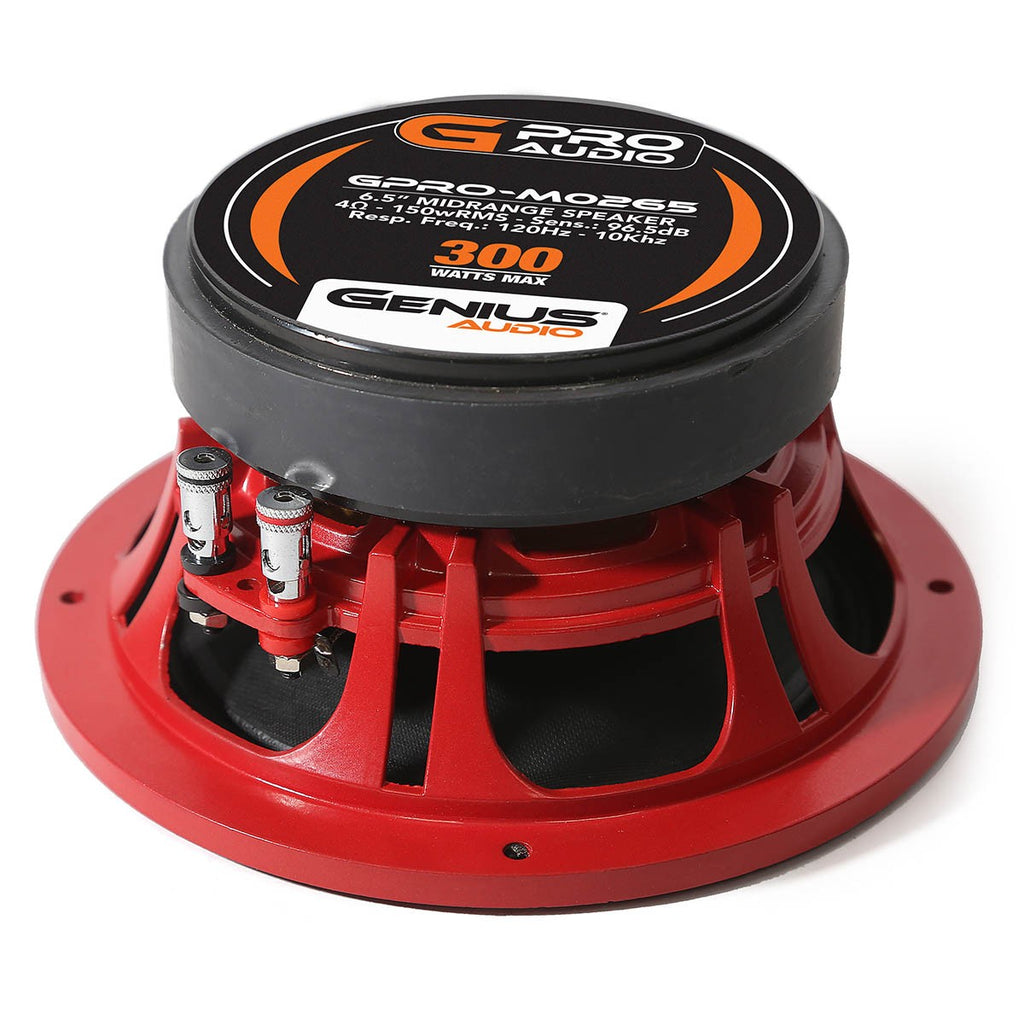 ALTAVOZ DE MEDIO RANGO 6.5